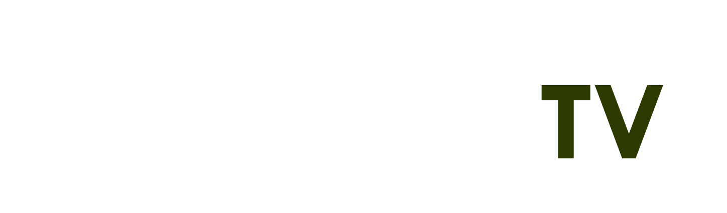 Giải Vô Địch Bóng Rổ Thế Giới